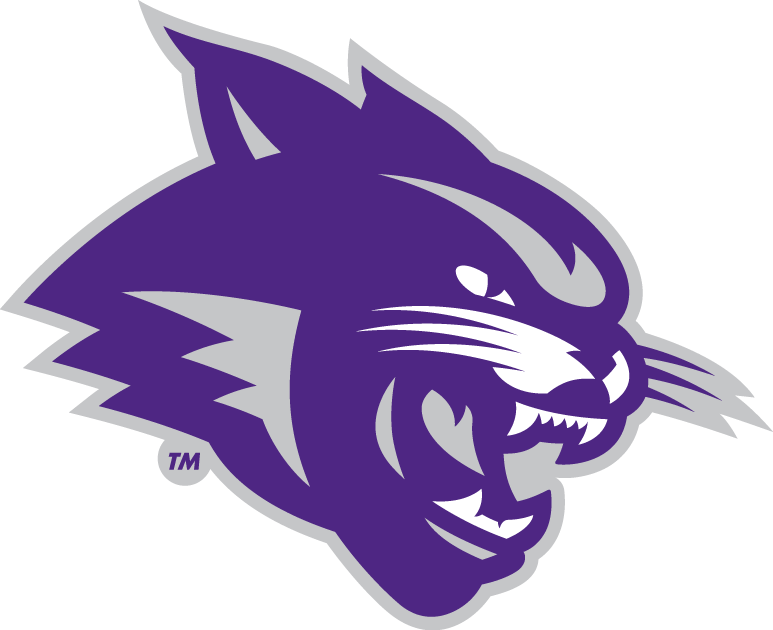 Abilene Christian Wildcats 2013-Pres Partial Logo diy fabric transfer
